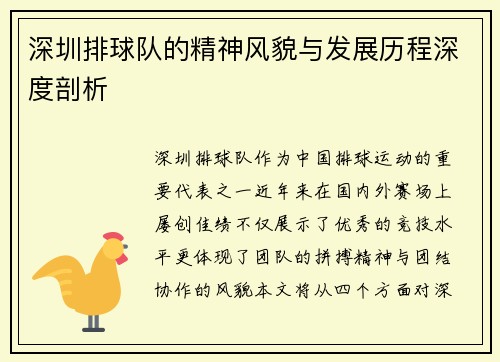 深圳排球队的精神风貌与发展历程深度剖析
